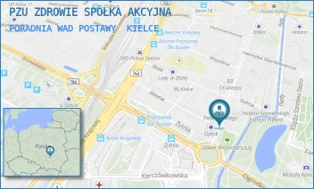 PORADNIA WAD POSTAWY - PZU ZDROWIE SPÓŁKA AKCYJNA - IGNACEGO PADEREWSKIEGO 4B,  KIELCE