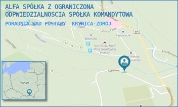 PORADNIA WAD POSTAWY - ALFA SPÓŁKA Z OGRANICZONA ODPWIEDZIALNOSCIA SPÓŁKA KOMANDYTOWA - REYMONTA 21,  KRYNICA-ZDRÓJ