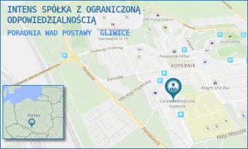 PORADNIA WAD POSTAWY - INTENS SPÓŁKA Z OGRANICZONĄ ODPOWIEDZIALNOŚCIĄ - UL. WIELKIEJ NIEDŹWIEDZICY 4,  GLIWICE