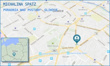 PORADNIA WAD POSTAWY - MICHALINA SPATZ-JOB - UL. MIKOŁOWSKA 25,  GLIWICE