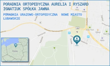 PORADNIA URAZOWO-ORTOPEDYCZNA - PORADNIA ORTOPEDYCZNA SZPANELEWSKI SPÓŁKA JAWNA - MICKIEWICZA 10,  NOWE MIASTO LUBAWSKIE